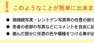 �������ʐ^�E�����g�Q���ʐ^����ʐόv��